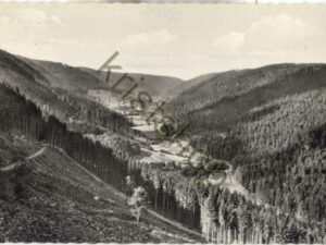 Wildbad i. Schwarzwald - Enztal  [009-3421