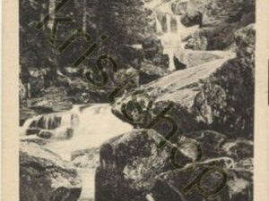 Steinere Renne - Harz [009-3637