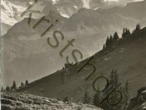 Im Blumental ob Mürren [009-4119