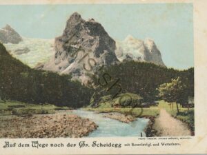 Auf dem Wege nach der Gr, Scheidegg   [009-4228
