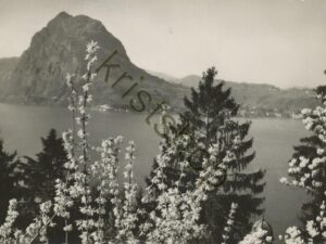 Lugano - Monte S, Salvatore   [009-4230