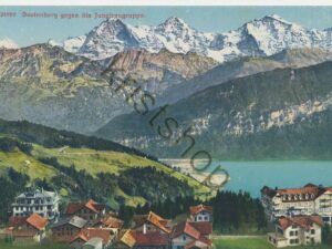Beatenberg gegen die Jungfraugruppe [009-4281