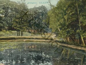 Baarn - Pekingkom [009-4805