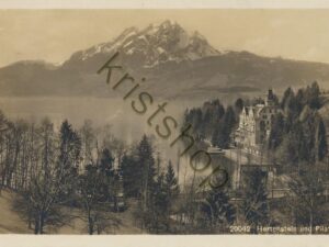 Hertenstein und Pilatus   [009-5753