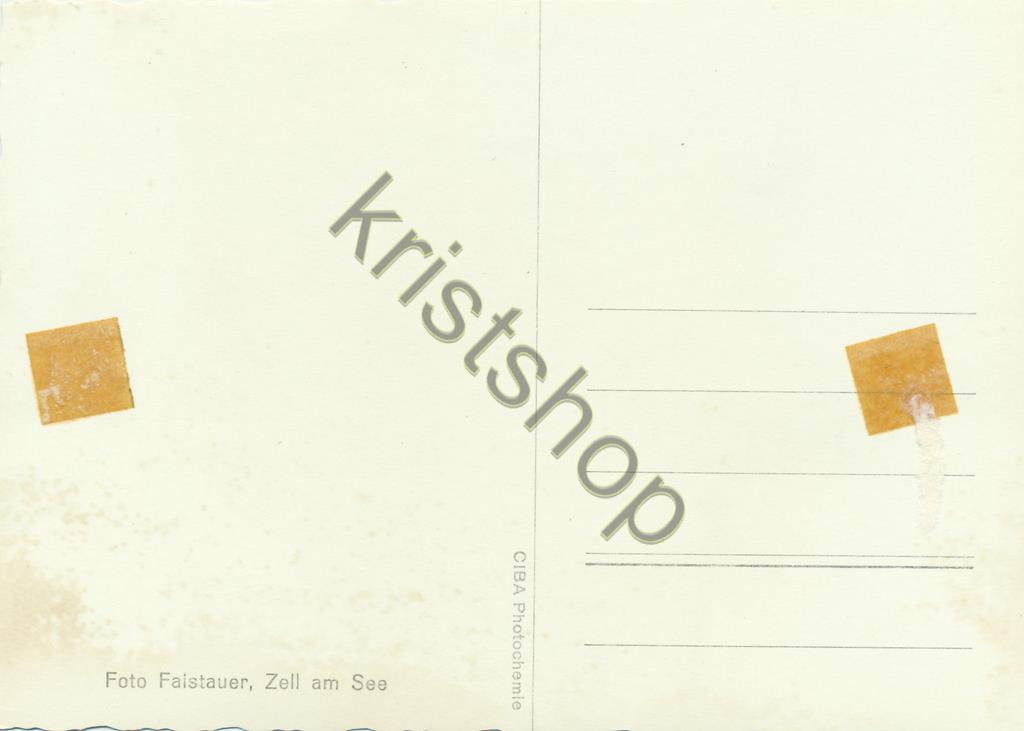 KRST009-5997_1.jpg Zell am See - Foto Faistauer - Pension Schwebebahn [009-5997 - Afbeelding 2