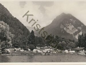 Camping Neuhaus b. Interlaken a. Thunersee   [009-6130