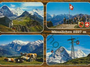 Männlichen [009-6161