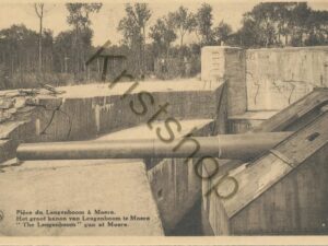 Piéce du Leugenboom à  Moere [009-6424