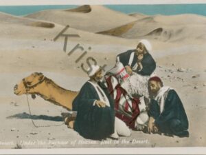 Desert - under the Furnace of heaven - camel [009-6455