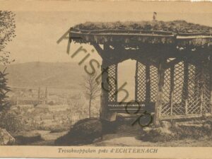 Echternach - Trosskneppchen près d'Echternach  [009-6594