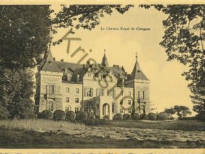 Château Royal de Ciergnon [009-6917