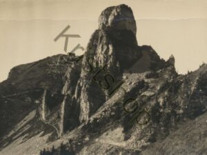 Schynige Plätte - Gummihorn [009-7327