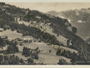 Braunwald [009-7379