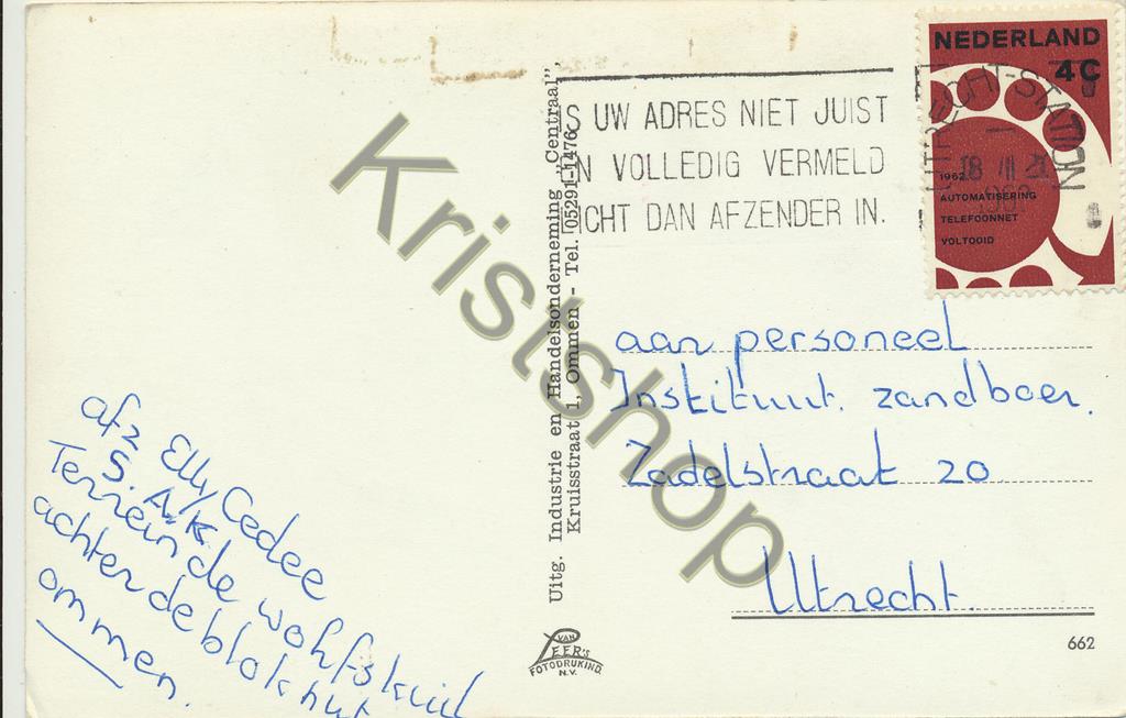 Ommen - Hertenkamp - Moeder met kleintjes [009-7442 - Afbeelding 2