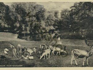 Alkmaar - Hertenkamp [009-7507