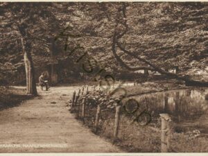 Haarlem - Haarlemmerhout [009-7539