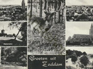Zeddam [009-7581