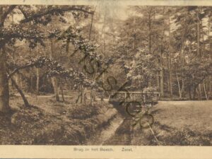 Zeist - Brug in het Bosch [009-7598