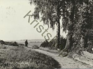 Berg en Dal [009-7607