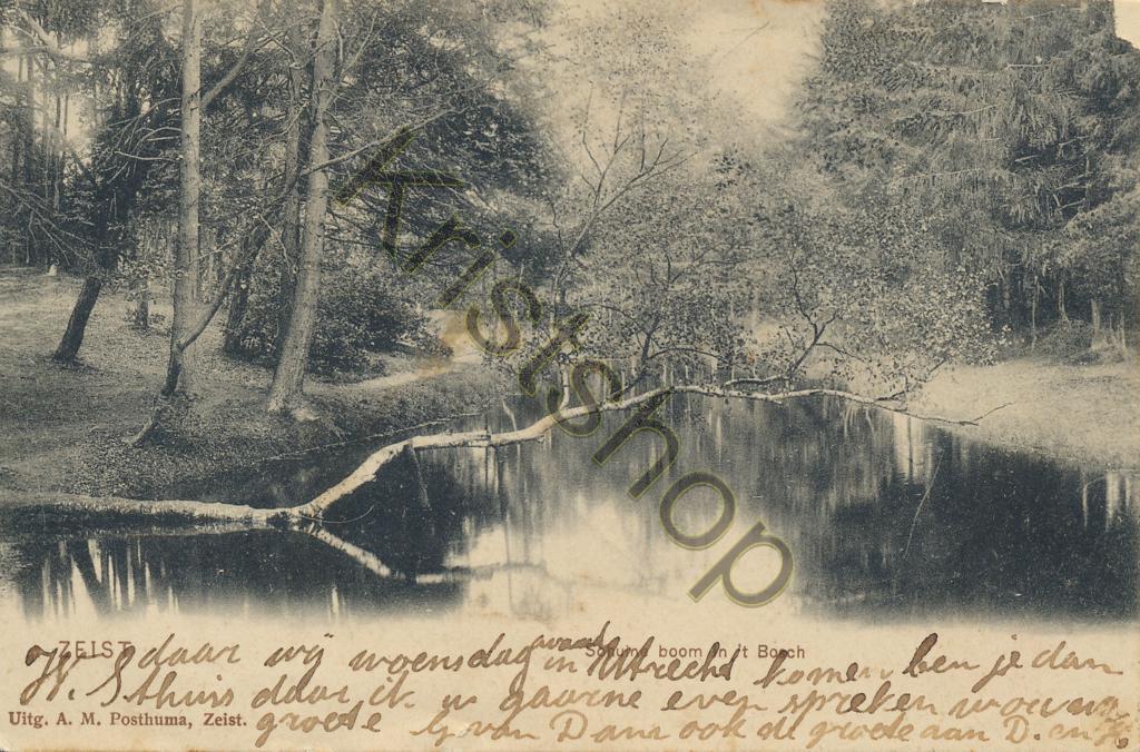 KRST009-7615_0.jpg Zeist - Schuine boom (slappe kaart) [009-7615