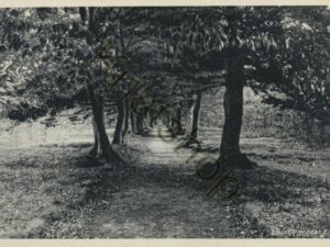 Zeist - Laantje zonder Eind [009-7621