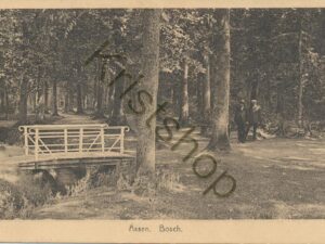 Assen - Bosch [009-7653