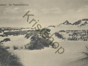 Schoorl - De Meeuwenlekken  [009-7656