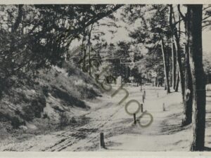 Veluwe - Fietspad [009-7673