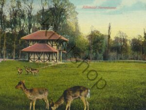 Alkmaar - Hertenkamp [009-7675