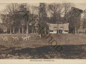 Bloemendaal - Hertenkamp [009-7686