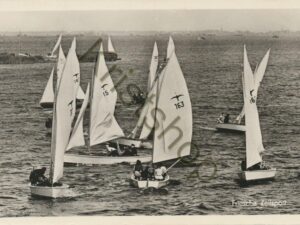 Friese Meren Zeilsport - Klasse: Valk  [009-7793