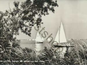 Paterswolde - langs de oever van het meer [009-7794