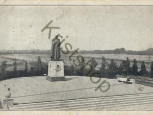 Tubbergen - Monument Dr. Schaepman [009-7814