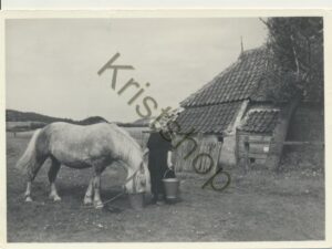 Terschelling - Van vroeger - Bij de boerderij [009-7906