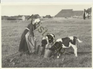 Terschelling - Van vroeger - Boerin [009-7908