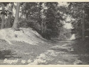 Bospad - Op de Veluwe [KRST009-8014