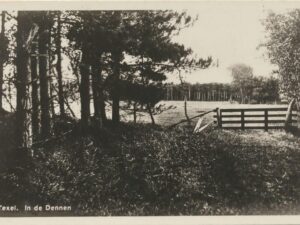 Texel - In de Dennen [KRST009-8080