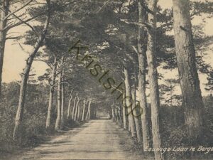 Bergen - Eeuwige Laan [KRST009-8165