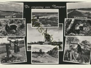 Nunspeet - meerluik [KRST009-8173
