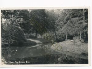 Ter Apeler Bos - De Vijver [KRST009-8332
