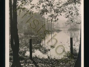 Oisterwijk - Van Eschenven [KRST009-8383