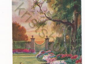 Reclame kaart - Arnhem - Wychgel's Thee [010-0146