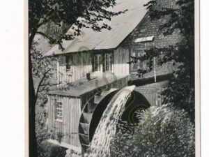 Möhle im Schwarzwald [010-0286
