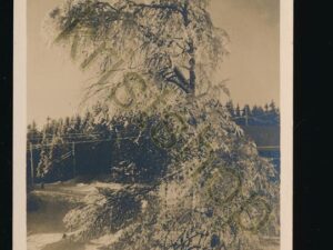 Vinter i Norge [010-0411