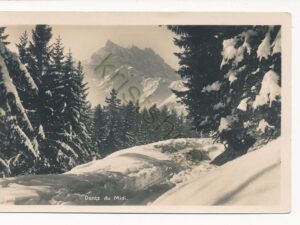 Dents du Midi [010-0555