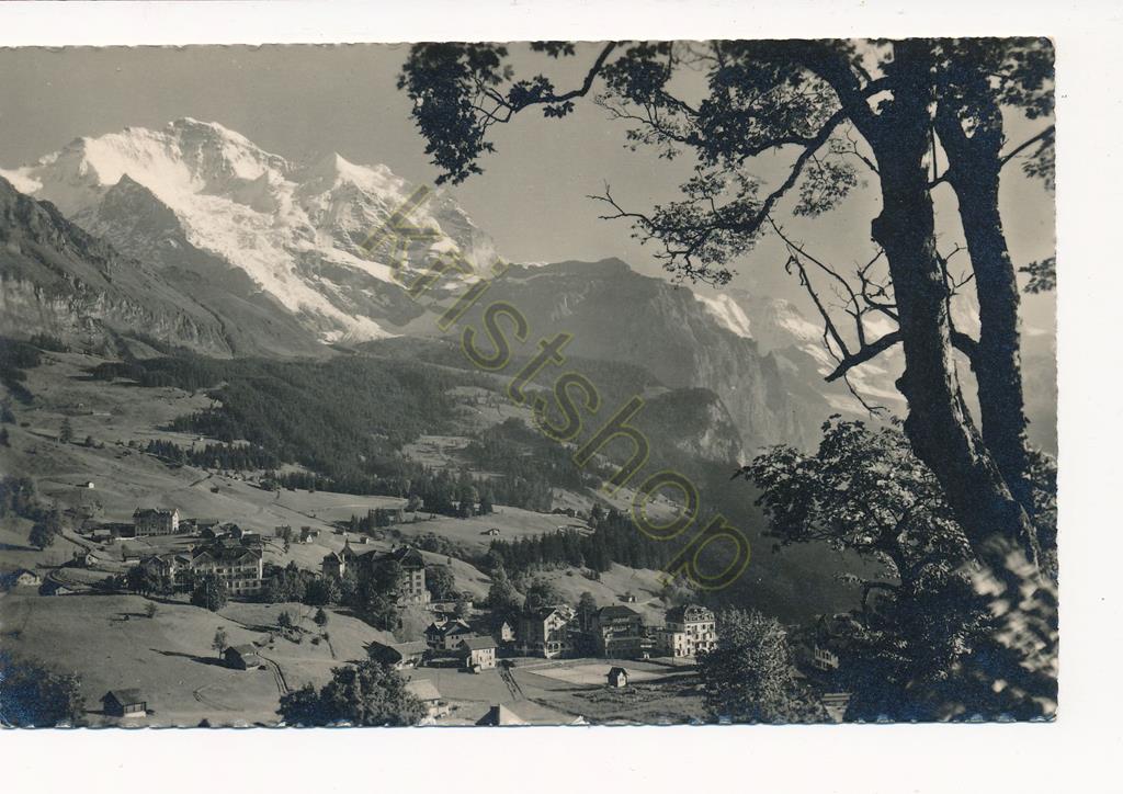 KRST010-0573_0.jpg Wengen - Jungrau-Schwarzmonch - Grosshorn [010-0573