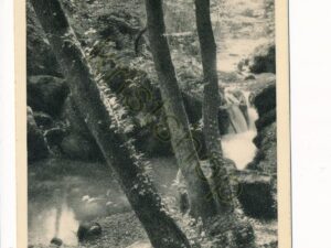 Echternach - Hallerbach - Promenade [010-0803