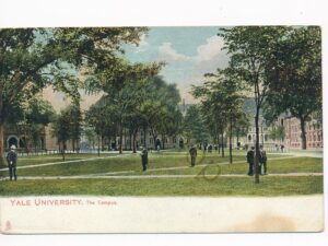 Yale University - The Campus [010-1314