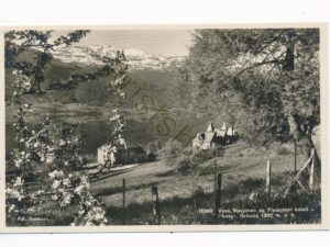 Voss - Stasjonen og Fleischer hotell - i bakgr Grasida [010-1318