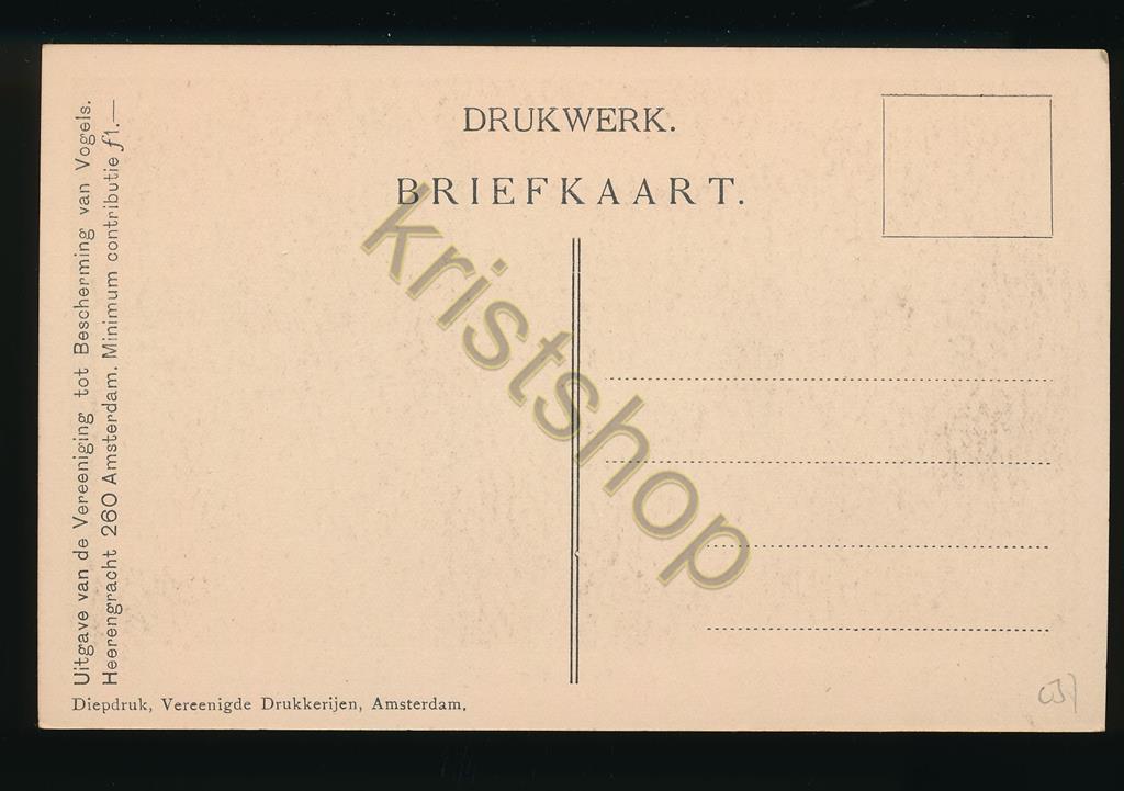 KRST010-1637_1.jpg Ver Tot Bescherming van Vogels - De Groote Karekiet [010-1637 - Afbeelding 2